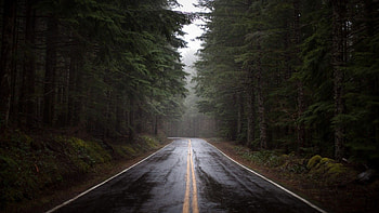 Most Beautiful Rainy Day Gallery 1920Ã1080 Raining (42 HD wallpaper